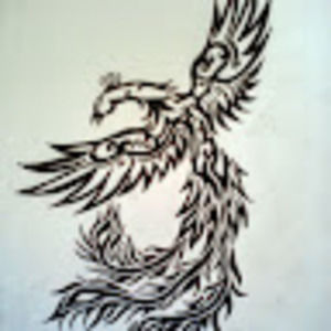 Meet your Posher, Kaden